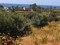 ارض زراعية للبيع اللاذقية كسب طريق البدروسية موقع مميز 