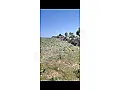 للبيع ارض زراعية 8750 متر حلب خان طومان