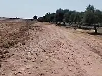 للبيع ارض زراعية مساحه //١٤// دونم/الرقة _الصالحية 