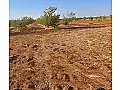 للبيع 10 دنمات ارض زراعية فيها شجر كرز حلب اعزاز