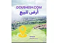 للبيع ارض زيتون مساحة 4350م / شارع معرة مصرين 