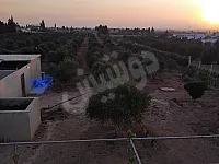 ارض زراعية للبيع حمص مزارع آبل اشجار مثمرة موقع مميز 