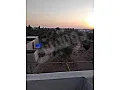 ارض زراعية للبيع حمص مزارع آبل اشجار مثمرة موقع مميز 