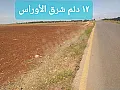 للبيع ارض زراعية حمص طريق تدمر
