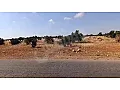 أرض زراعية للبيع طريق حمص دمشق موقع استراتيجي 