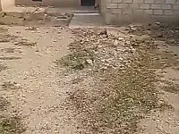 للبيع مقسم 250متر مكفول من كل شي قرار محكمة/الحسكة _النشوة الغربية