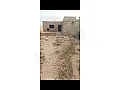للبيع مقسم 250متر مكفول من كل شي قرار محكمة/الحسكة _النشوة الغربية