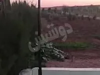 مزرعة للبيع ٣ دنم جاهزة ومشجرة /القامشلي _تل فارس 