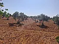 للبيع ارض بحلب كفرنايا 16 دنم مع جب ماء كرم زيتون