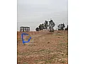للبيع مقسم منظم مساحة 254متر /الحسكة _الدرباسية 