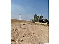 للبيع مقسم منظم مساحة ٢٤٧ متر/الحسكة _الدرباسية 