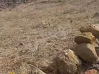 للبيع ارض تصلح للبناء حمص شين قرية اللوبيدا موقع مميز 