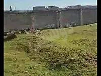 للبيع ارض مسيجة بحلب الليرمون 12.6 دنم مقابل زنوبيا للسيراميك