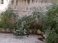 للبيع شقة ارضية حلب شارع النيل 635 متر  300 متر بناء