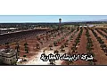 للبيع ارض 11600م بناء غرفتين و منافع+شجر زيتون/إدلب معرة مصرين القديم