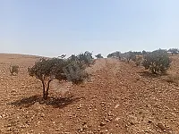 أرض للبيع/17دنم/حمص••المضابع