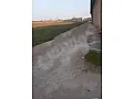 للبيع ارض بريف حلب الشمالي  بيانون 20 دنم  طابو زراعي