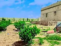 مزرعة_للبيع بمساحة دنمين مع بناء جاهز /الحسكة _الدرباسية 