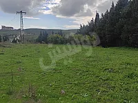 للبيع ارض  حمص وادي النصارى قرب مجمع الخير  السياحي 
