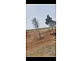 للبيع ارض بحلب ام عتبة 15000 متر 85 × 130 متر طابو اسهم