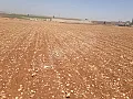 للبيع ارض بريف حلب الجنوبي حدادين 2 دنم مخدمة كهربا