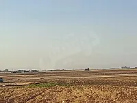 للبيع ارض بحلب مارع 42 دنم طابو زراعي