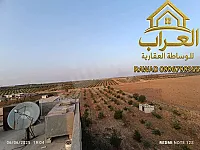 ارض زراعية وهنغار ومنزل للبيع ريف حمص الشرقي قرية الجابرية