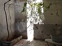 للبيع منزل عربي حمص حي كرم الزيتون قرب جامع ابو عبيدة 