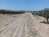 للبيع ارض زراعية ريف حمص الشرقي قرية عيفير 