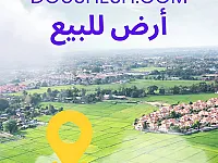 للبيع ارض زراعية حمص شرقي فيروزة موقع مميز أشجار مثمرة 