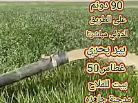 ارض للبيع 90 دنم مع مدجنة جاهزة للعمل/القامشلي _مقابل قرية القلعه