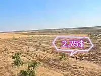 للبيع ارض بريف حلب الشمالي مارع 5 هكتار طابو زراعي