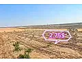 للبيع ارض بريف حلب الشمالي مارع 5 هكتار طابو زراعي