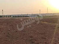 للبيع ارض زراعية ريف حمص الشمالي قرية السعن موقع مميز 