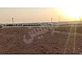 للبيع ارض زراعية ريف حمص الشمالي قرية السعن موقع مميز 