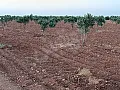 للبيع ارض بريف حلب قرية قطر 23 دنم طابو زراعي 