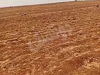 للبيع ارض بحلب الشيخ عيسى 8 هكتار طابو زراعي