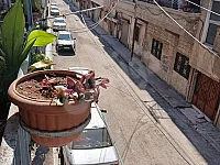 للبيع بناء طابقين حمص كرم اللوز جانب مطعم ابو سليمان تجهيز جيد 