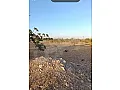 للبيع ارض بحلب  طريق المطار 2500 متر 50×50 متر