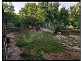 مزرعة الرواق