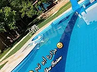 البيت الصيني 