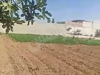 قطعة أرض للبيع مساحة 82 قصبة