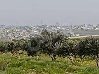 للبيع ارض زراعية  صناعية استراد حمص مصياف الحالي والجديد موقع مميز 