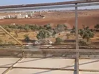 للبيع ارض بحلب حور 14 هكتار فيها كرم زيتون 4000 شجرة