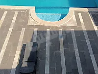 للبيع مزرعه حمص الأوراس تجهيز سوبر ديلوكس موقع مميز 