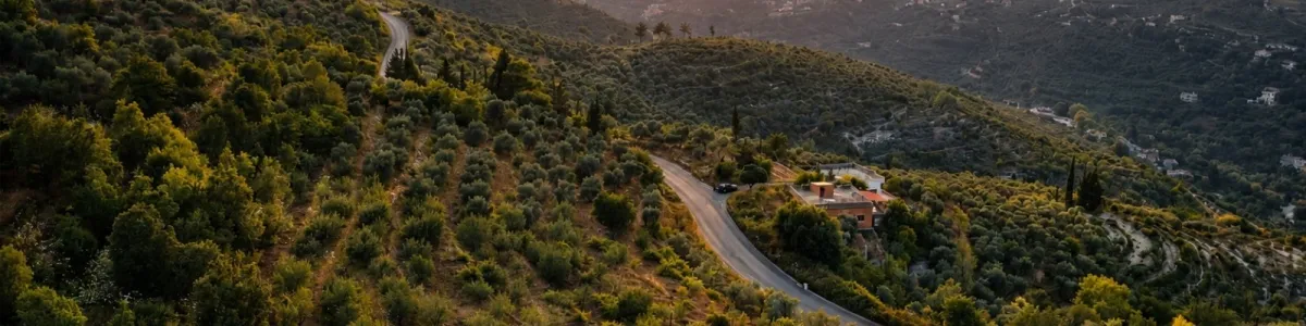 حمزة عبد الرحمن